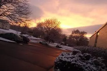 Hotel Apm Inn & Suites