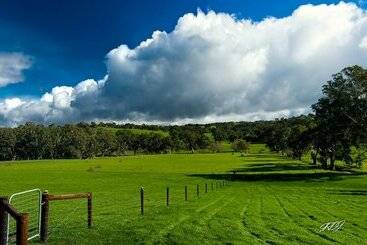 酒店 Anmol Resorts