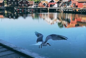 בית מלון כפרי L Karingon