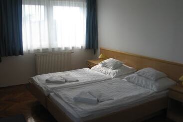 Hotel Leier Business