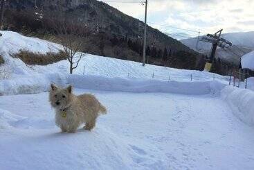 Petit Hotel Paddington House