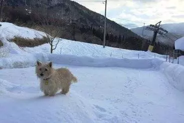 Petit Hotel Paddington House