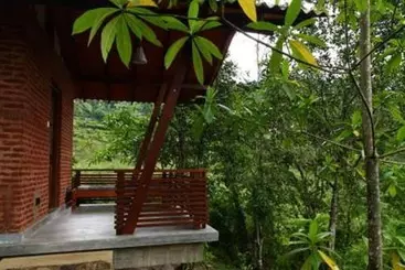 ホテル Bandura Kalawana Rainforest Bungalow