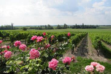 צימר Chambre D Hôtes Clos Des Pierres Blanches