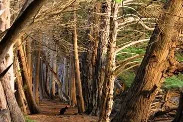 リゾートホテル Big4 Kelso Sands Holiday Park