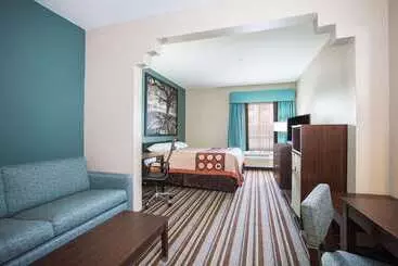 Отель Super 8 By Wyndham Port Arthur/nederland Area