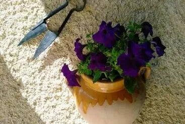 Aamiaismajoitus (B&B) Chez Bouju