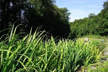 Hotel Camping La Kilienne