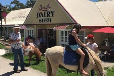 汽车旅馆 Bodalla Dairy Shed Guest Rooms