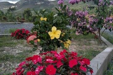 פנסיון Pousada Mont Hebrom