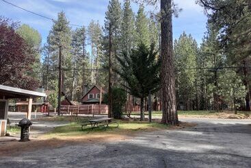 Grey Squirrel Resort