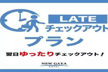 ホテル New Gaea Iizuka