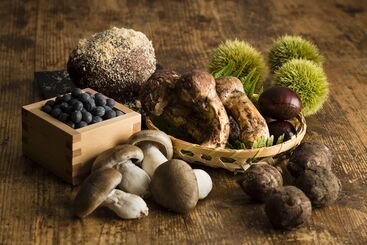 Hostelli Nipponia Sasayama Castle Town