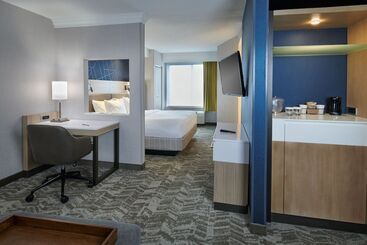 酒店 Springhill Suites Detroit Southfield