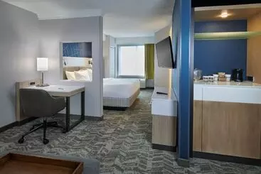 Otel Springhill Suites Detroit Southfield