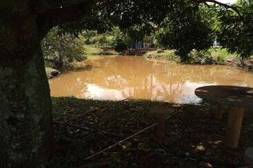 Hotel Pousada Roda D água