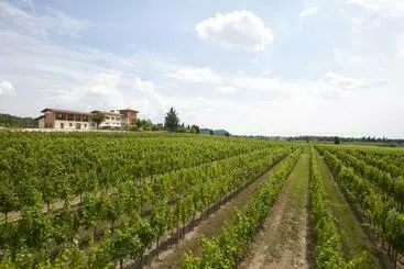 Bed and Breakfast Alloggio Agrituristico Corte San Biagio