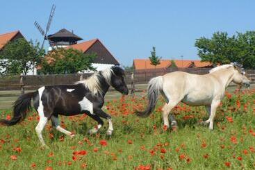 酒店 Bukovanský Mlýn