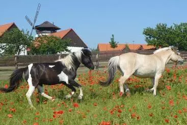 ホテル Bukovanský Mlýn