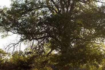 Hotel Ljungs Fem Rum