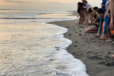 בית מלון כפרי Villa Murano