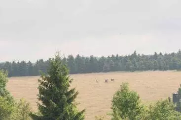 Pensió Penzion Hájovna