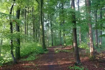 Hotel Waldgasthof Buchenhain