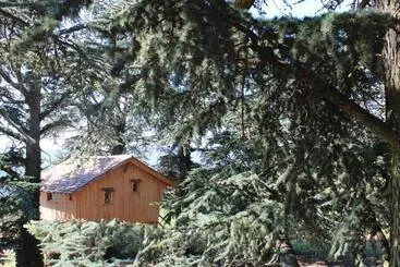 ベッドアンドブレックファースト Domaine Des Grands Cèdres