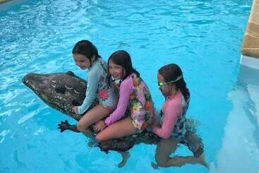 ベッドアンドブレックファースト La Ferme De Montard