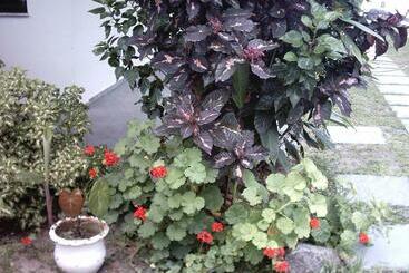 Pensão Pousada Neves Paraiso Tropical