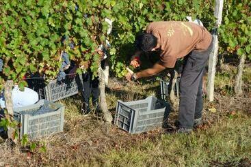住宿加早餐  Maison D Hôtes La Prévôté