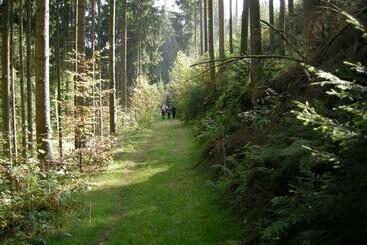 Gasthaus Pension Islekhöhe Gansen