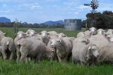 Hôtel Grampians Historic Tobacco Kiln