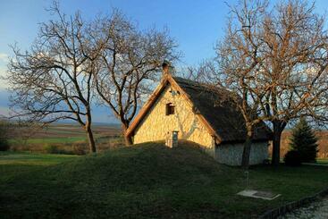 פנסיון Dióliget Diófácska Présház