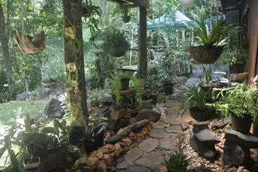 Tropical Bliss Bed And Breakfast