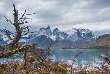 Отель Estancia El Ovejero Patagónico