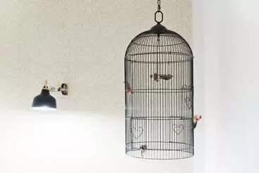 Aparthotel Sir Toby S Midtown