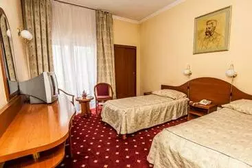 Hotel Johann Strauss