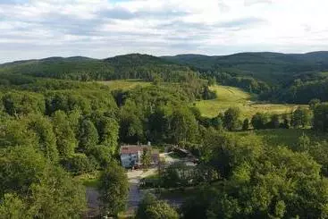 Nocleg ze śniadaniem Fehér Sas Panzió