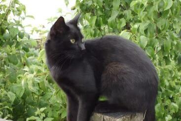 酒店 Oberkapillhof