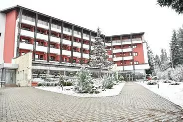 Hotel Carpați