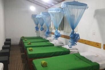 Foret De Vill   Hostel