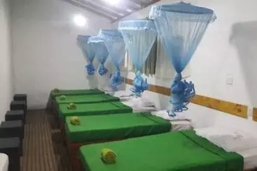 Foret De Vill   Hostel