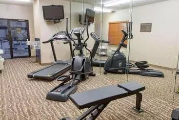 Hotel Quality Inn Dfw Airport North