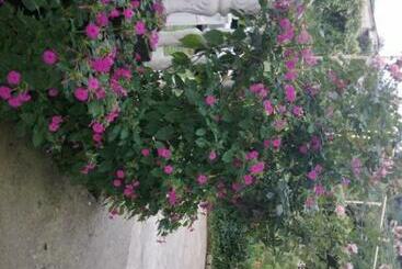 Пансион Guest House Maka