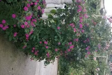 ペンション Guest House Maka