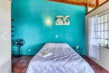 تختخواب و صبحانه Most Animal Friendly Place On Earth Casa Geraldo