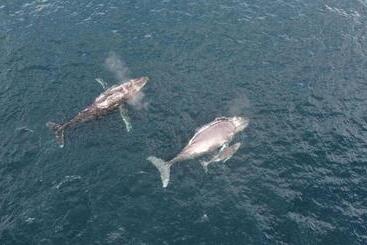 Bed and Breakfast La Tarima Del Colibri Ecolodge