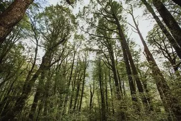 Hotelli Maruia Hot Springs