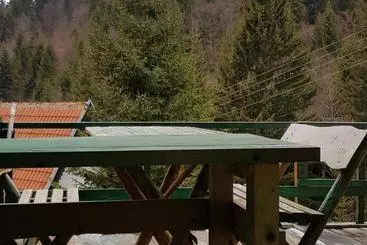 Pensão Vikendica Jela Kopaonik